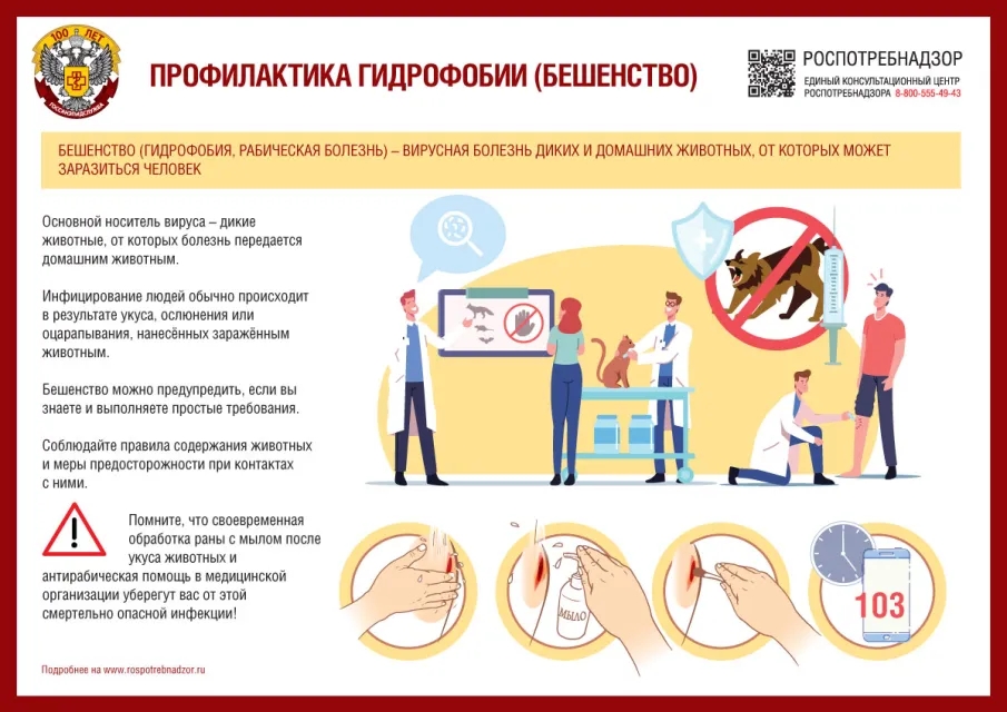 Роспотребнадзор информирует о рекомендациях по профилактике бешенства